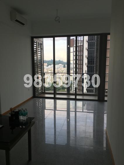 The Hillier (D23), Apartment #128273892